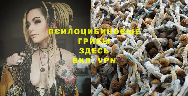 а пвп мука Алексин