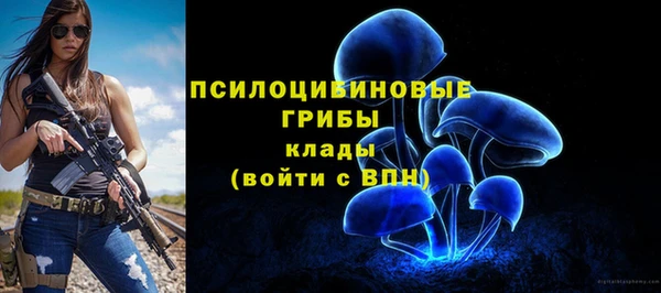 марки nbome Алзамай