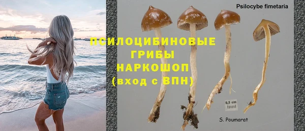 марки nbome Алзамай